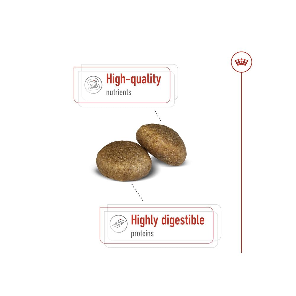 Royal Canin Maxi Adult Dry Dog Food - 10kg
