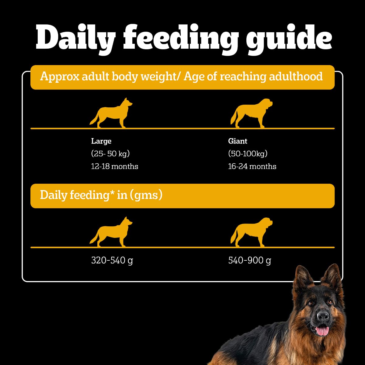 Pedigree PRO Adult Large Breed Dry Dog Food - 3kg