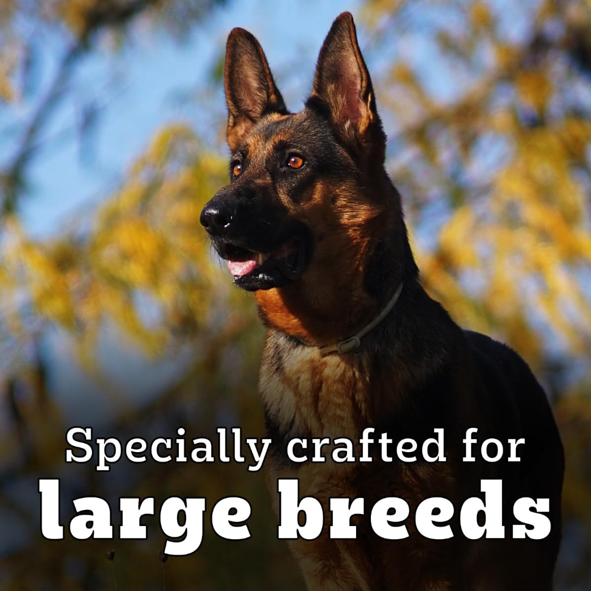 Pedigree PRO Adult Large Breed Dry Dog Food - 3kg