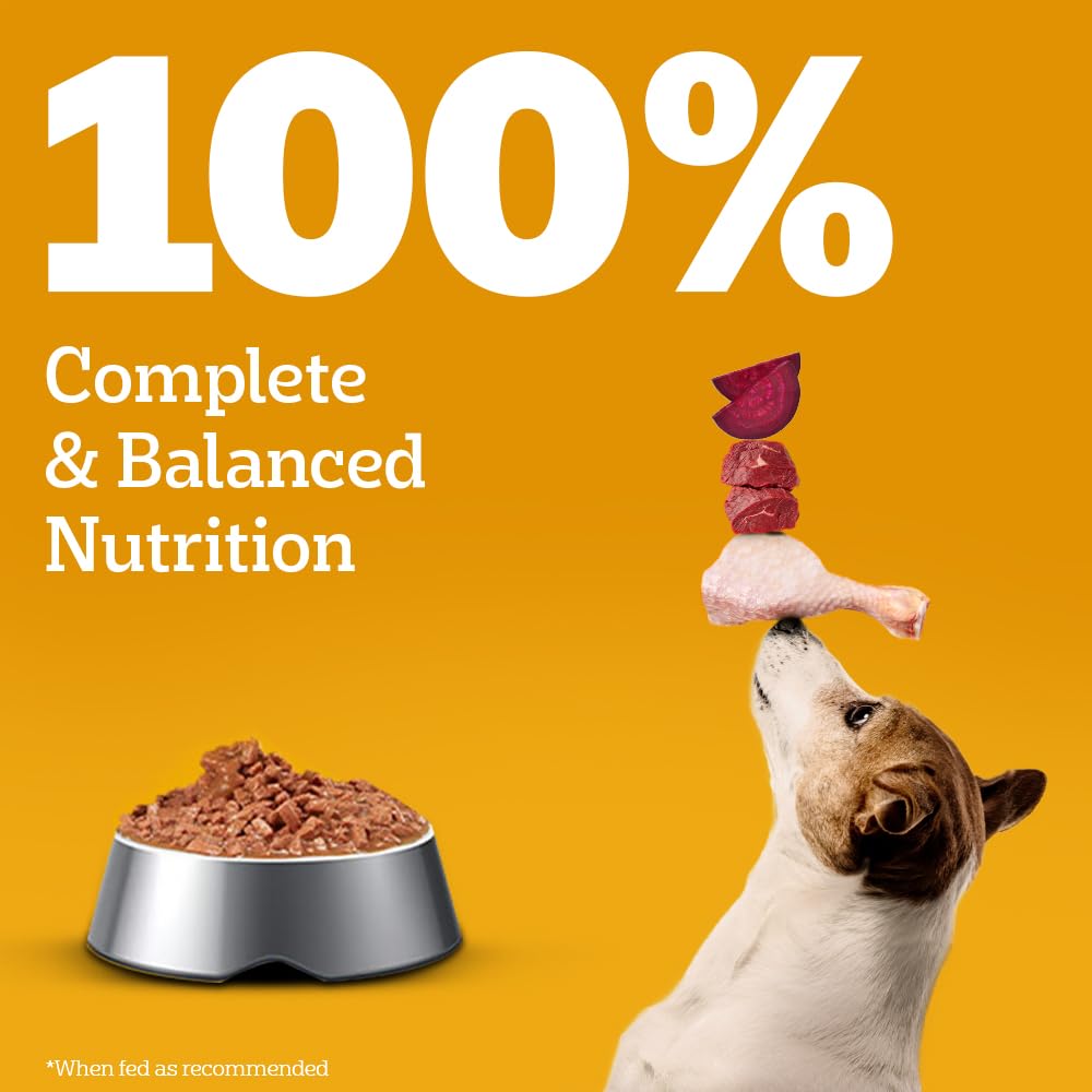 Pedigree Adult Wet Dog Food - Chicken & Liver Gravy - 130g x 12