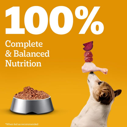 Pedigree Adult Wet Dog Food - Chicken & Liver Gravy - 130g x 12