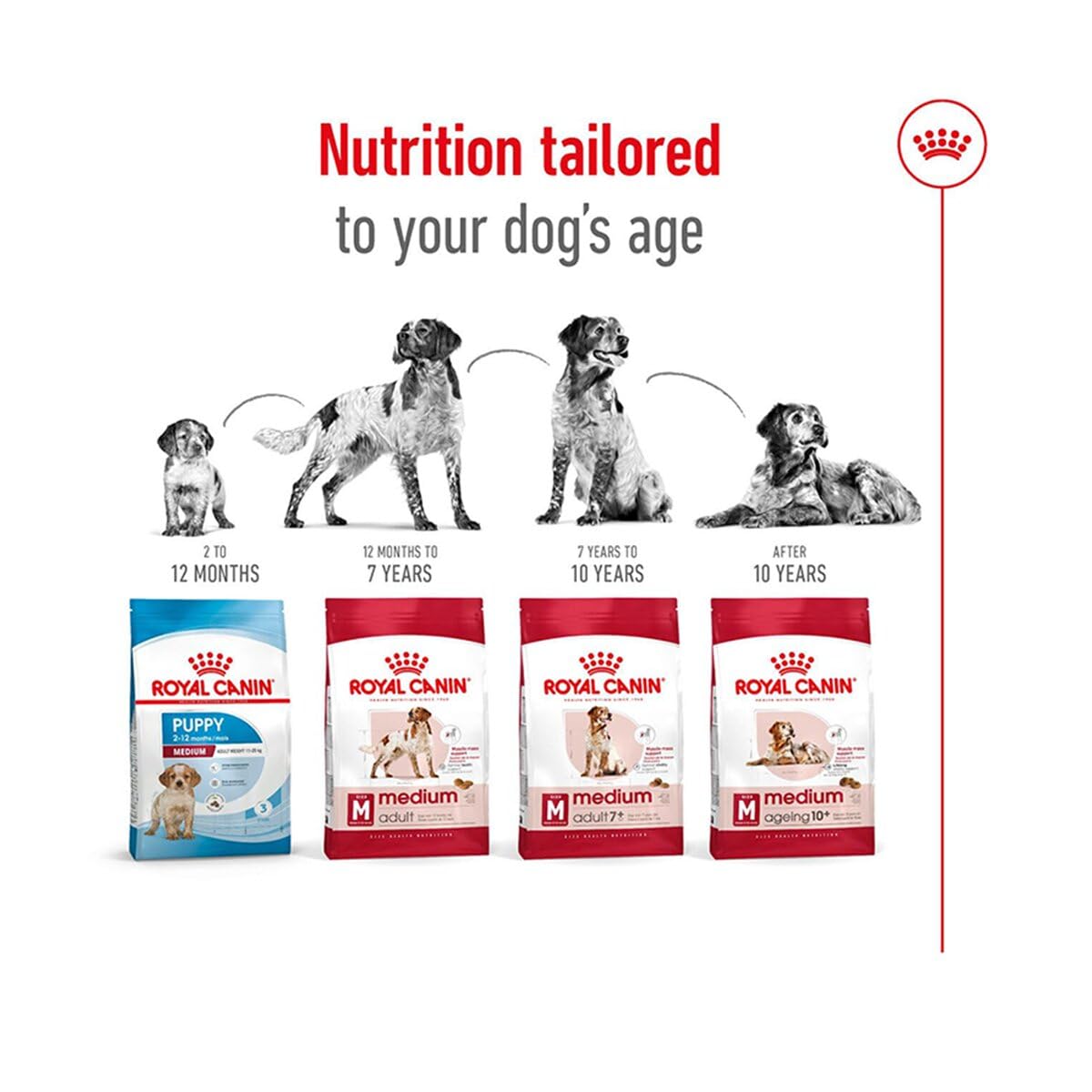 Royal Canin Medium Adult Dry Dog Food - 1kg