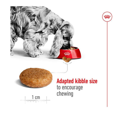 Royal Canin Medium Adult Dry Dog Food - 1kg