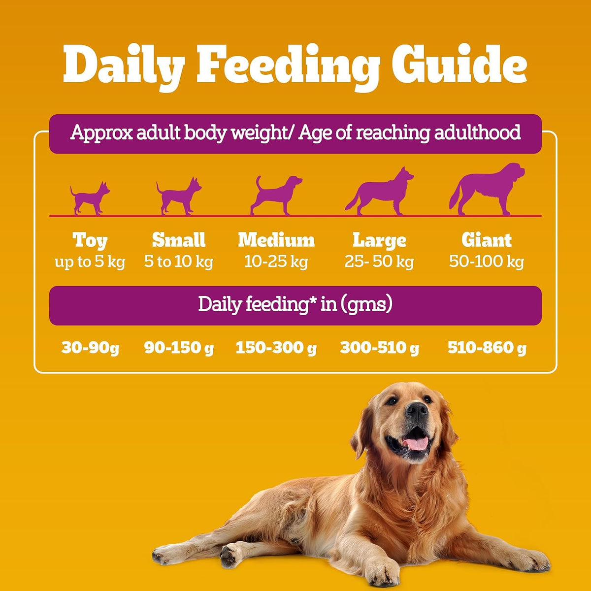 Pedigree Adult Dry Dog Food - Chicken Biryani - 1kg