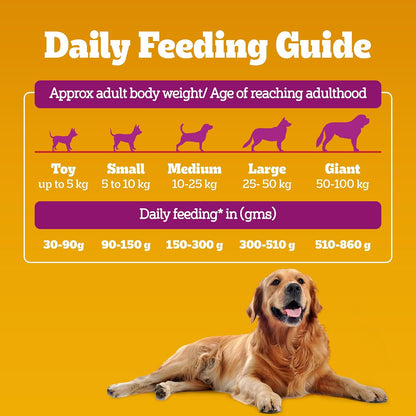 Pedigree Adult Dry Dog Food - Chicken Biryani - 1kg