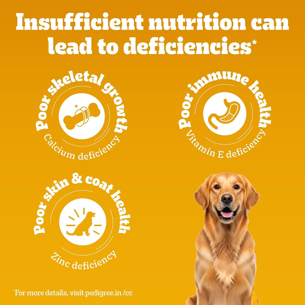 Pedigree Adult Dry Dog Food - Chicken & Vegetables - 3kg