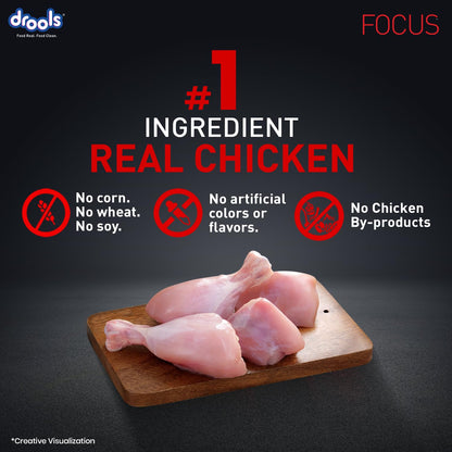 Drools Focus Super Premium Adult Dry Dog Food - Chicken - 3kg