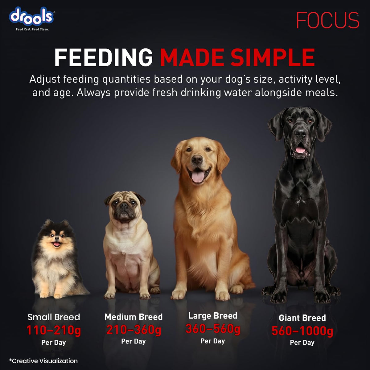 Drools Focus Super Premium Adult Dry Dog Food - Chicken - 3kg
