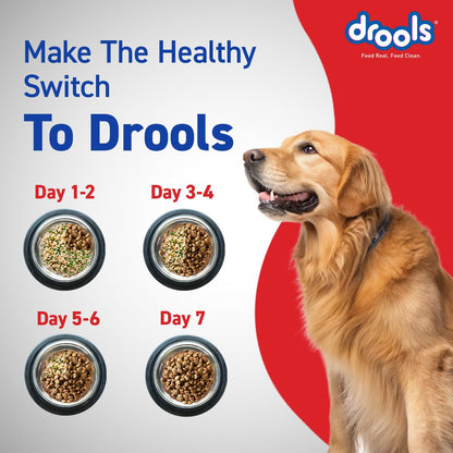 Drools Optimum Performance Adult Dry Dog Food - Chicken - 10kg