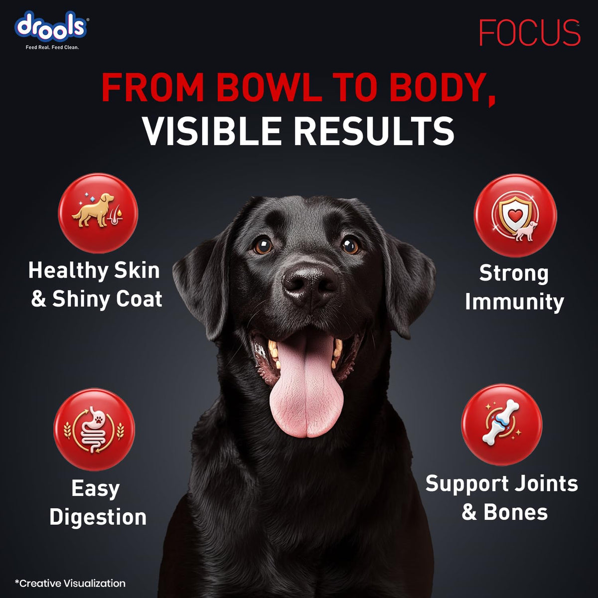 Drools Focus Super Premium Adult Dry Dog Food - Chicken - 3kg