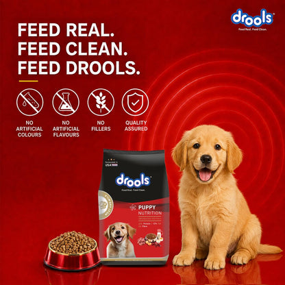 Drools Puppy Dry Dog Food - Meat & Milk - 2.8kg + 1kg