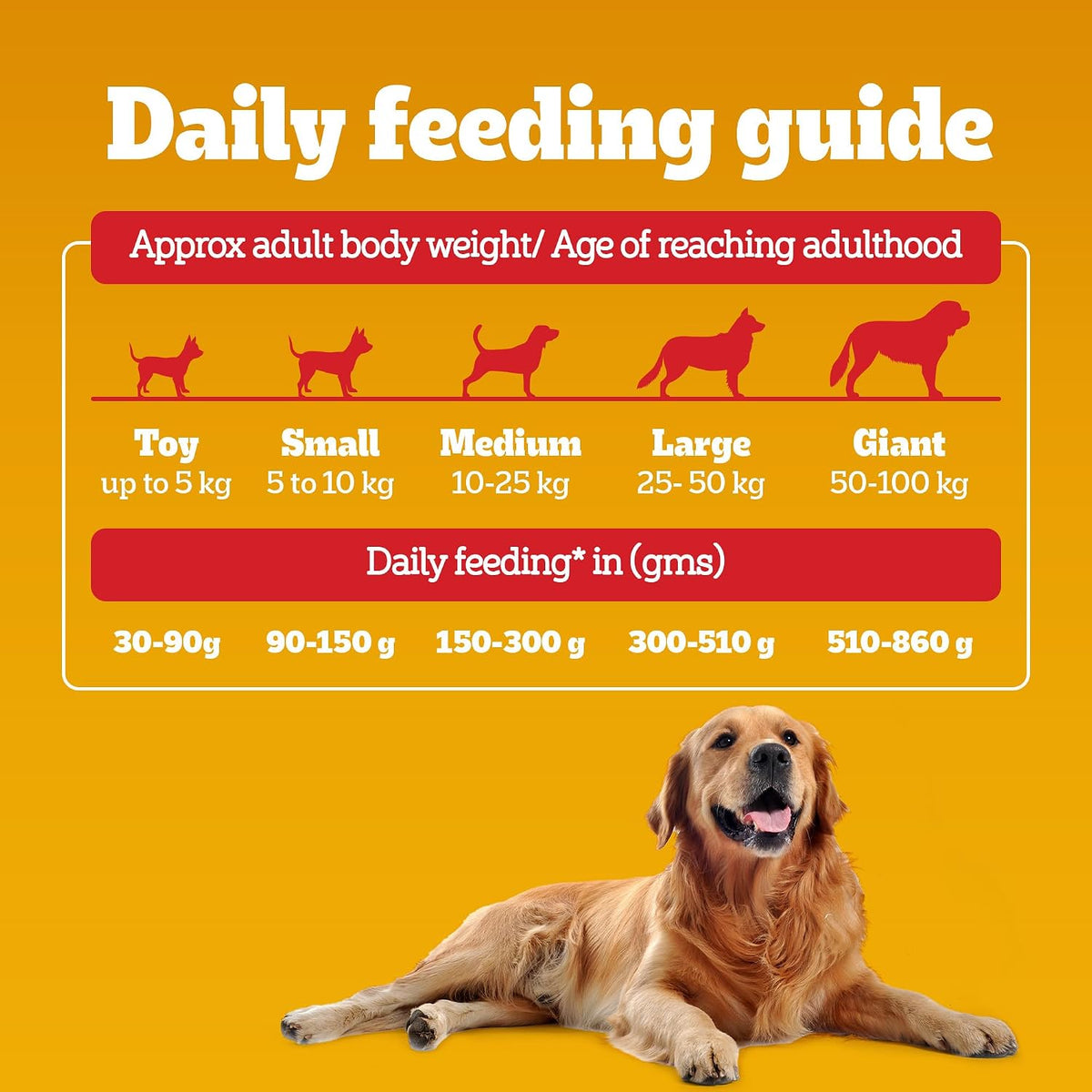 Pedigree Adult Dry Dog Food - Chicken & Vegetables - 3kg