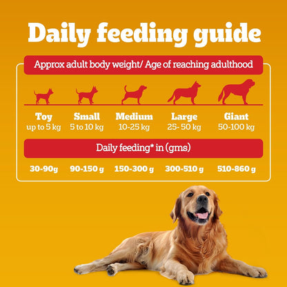 Pedigree Adult Dry Dog Food - Chicken & Vegetables - 3kg