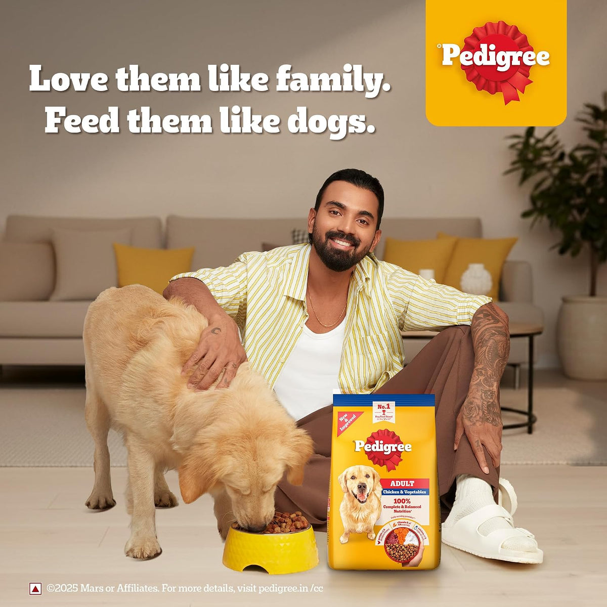 Pedigree Adult Dry Dog Food - Chicken & Vegetables - 3kg