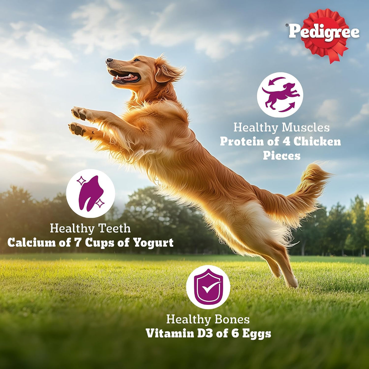 Pedigree Adult Dry Dog Food - Chicken Biryani - 1kg