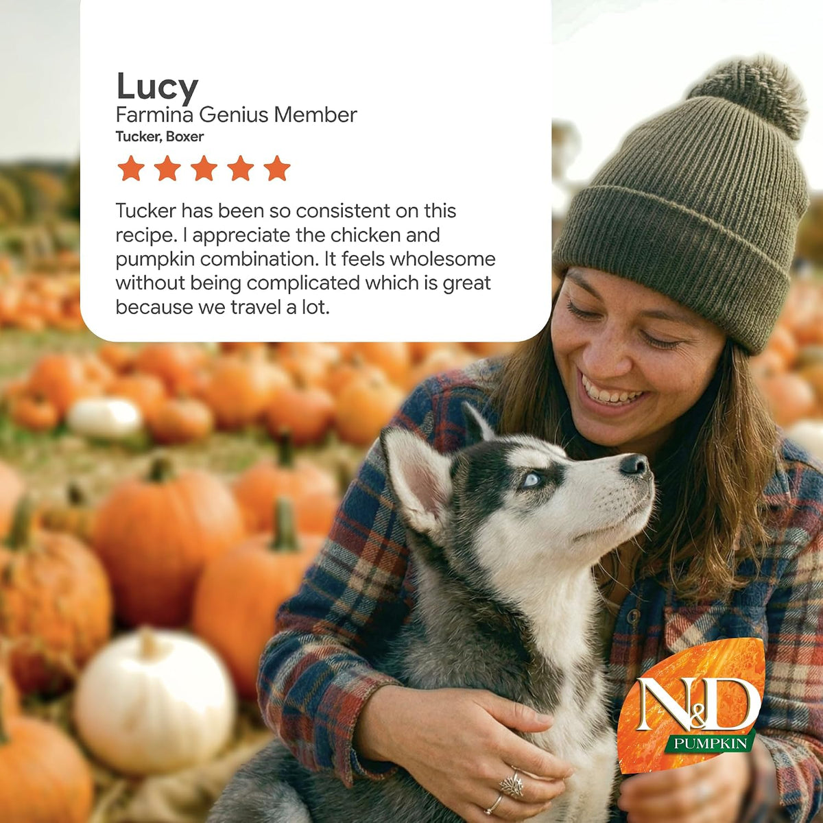 Farmina N&D Pumpkin Adult Medium/Maxi Dry Dog Food - 2.5kg